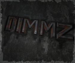 Dimmz : Ways in Life